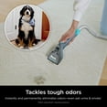 thumbnail image 5 of Shark CarpetXpert HairPro with StainStriker Carpet & Upholstery Cleaner, 5 of 9