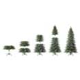 thumbnail image 10 of Member's Mark 9' Slim Linden Fir Pre-Lit Christmas Tree, 10 of 10