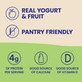 thumbnail image 4 of GoGo Squeez Yogurtz Strawberry and Strawberry Banana, 3 oz., 20 ct., 4 of 8