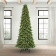 thumbnail image 1 of Member's Mark 12' Spruce Pine Pre-Lit Christmas Tree, 1 of 8