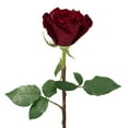 thumbnail image 2 of Member's Mark Ecuadorian Premium Roses, choose color variety and stem count, 2 of 6