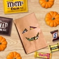 thumbnail image 7 of Mars Chocolate Halloween Candy Variety Bag, 110 pcs., 7 of 9