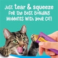 thumbnail image 4 of Purina Friskies lil’ Lickables With Chicken, Tuna or Ocean Whitefish Variety Pack Lickable Cat Treat, 56 ct. Pouches, 4 of 8