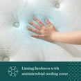 thumbnail image 9 of ZINUS Night Therapy 14” Cooling Hybrid Mattress Set With Antimicrobial Cover, 9 of 11