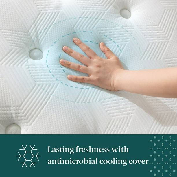 ZINUS Night Therapy 14” Cooling Hybrid Mattress Set With