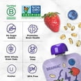 thumbnail image 5 of Brainiac Fruit and Oat Smoothie Pouches, 3.2 oz., 20 ct., 5 of 8