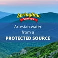 thumbnail image 3 of Springtime Artesian Water, 20 fl. oz., 30 pk., 3 of 9
