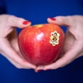 thumbnail image 2 of Sugarbee Apples, 4 lbs., 2 of 6