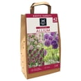 thumbnail image 1 of Member's Mark Allium Collection Dormant Bulbs, 42pk, 1 of 11