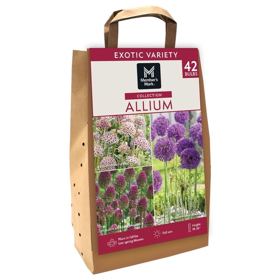 Member's Mark Allium Collection Dormant Bulbs, 42pk