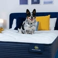 thumbnail image 10 of Serta Enchanting Rest Plush Mattress, 10 of 10