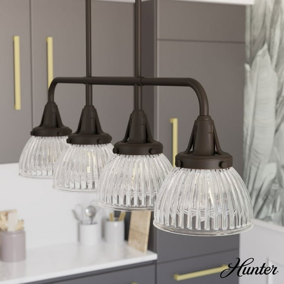 Hunter Cypress Grove with Clear Holophane Glass 4 Light Chandelier Ceiling Light Fixture