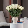 thumbnail image 6 of Member's Mark Ecuadorian Premium Roses, choose color variety and stem count, 6 of 7