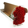 thumbnail image 4 of Member's Mark Carnations, Choose color and stem count, 4 of 7