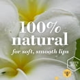 thumbnail image 4 of Burt's Bees 100% Natural Moisturizing Lip Balm, Original Beeswax, Vanilla Bean, Pomegranate & Ultra Conditioning (8 tubes), 4 of 4