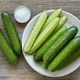 thumbnail image 6 of Mini Cucumbers, 2 lbs., 6 of 7