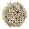 thumbnail image 1 of Member's Mark Painted Poms, 60 Stems, choose color, 1 of 4