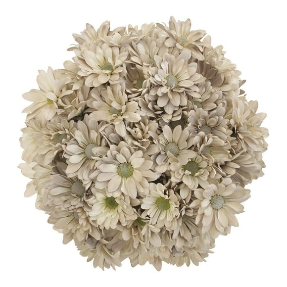 Member's Mark Painted Poms, 60 Stems, choose color