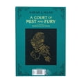 thumbnail image 6 of Sarah J. Maas A Court of Mist and Fury Chenille Mink Box Throw, 60"x70", 6 of 10