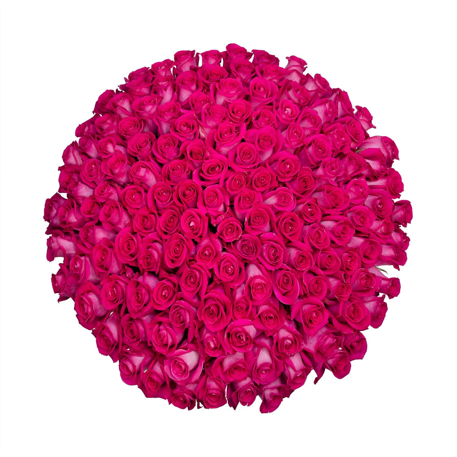 500 Count Roses Member's Mark Ecuadorian Premium Roses, choose color variety and stem ...