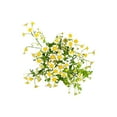 thumbnail image 5 of Member's Mark Chamomile Matricaria, choose stem count, 5 of 6