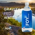 thumbnail image 5 of FOY Springs Naturally Alkaline Bottled Spring Water, 500 mL, 24 pk., 5 of 8