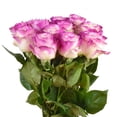 thumbnail image 4 of Member's Mark Illusion Roses, 12 stems, 4 of 5