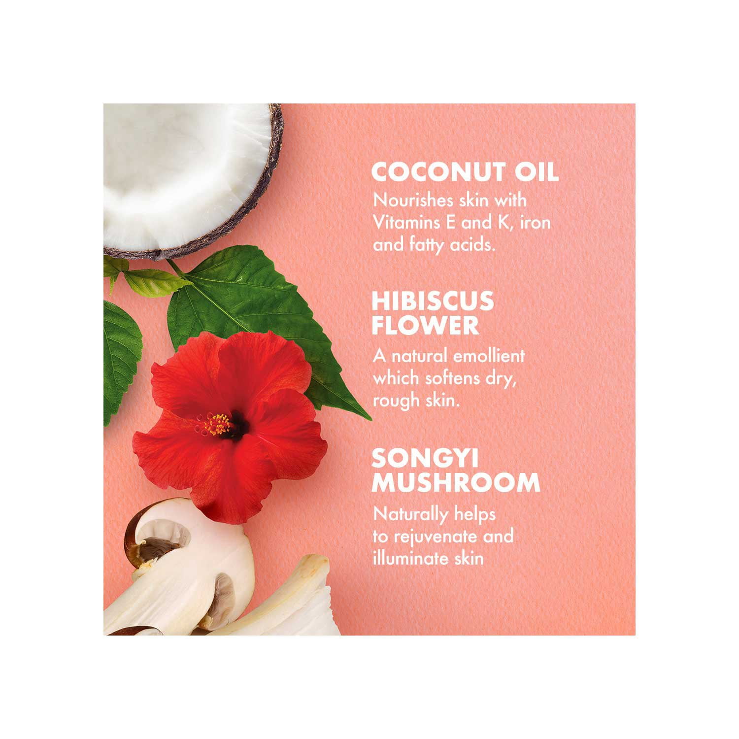 最終値段ホルミシス HORMESIS ジェルクリームブラック3kg Holistic Hypericum Cream | FREZYDERM