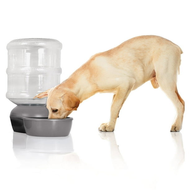 Aspen Pet LeBistro Gravity Waterer, Gallon (2