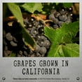 thumbnail image 4 of Unshackled Red Blend Red Wine, 750 ml, 4 of 7