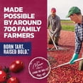 thumbnail image 7 of Ocean Spray Juice Drink Variety Pack 10 fl. oz., 18 pk., 7 of 8