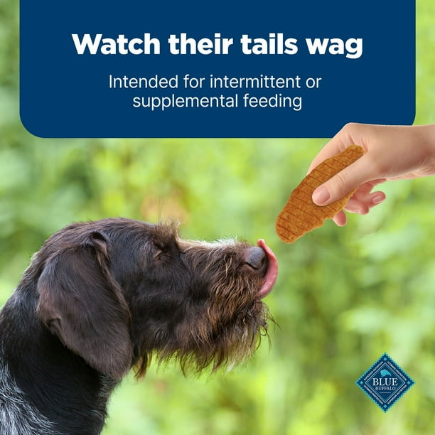 Blue Buffalo Nudges Natural Chicken Flavored Jerky Cut Dog Treats