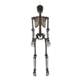 thumbnail image 2 of Member's Mark 5' Pre-Lit Color Changing Poseable Skeleton, 2 of 3