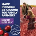 thumbnail image 7 of Ocean Spray Cran-Grape Juice Drink 96 oz., 2 pk., 7 of 7