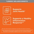 thumbnail image 5 of Qunol Liquid Turmeric 1000mg, Black Pepper Enhanced Absorption, 60 Servings, 5 of 10