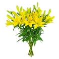 thumbnail image 2 of Member's Mark LA Hybrid Lilies, choose color and stem count, 2 of 8
