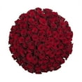 thumbnail image 1 of Member's Mark Ecuadorian Premium Roses, choose color variety and stem count, 1 of 9