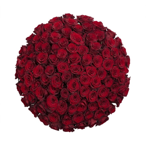 Member's Mark Ecuadorian Premium Roses, choose color variety and stem count