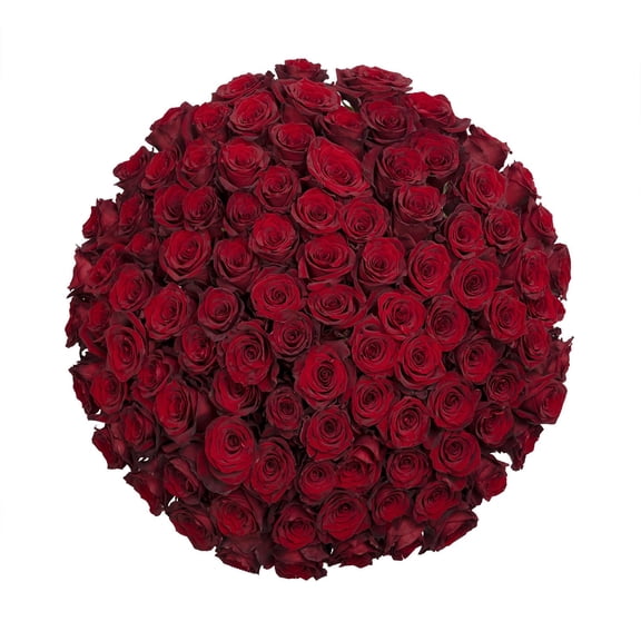 Member's Mark Ecuadorian Premium Roses, choose color variety and stem count