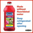 thumbnail image 9 of Pennington Hummingbird Feeder and Nectar Kit, 9 of 9