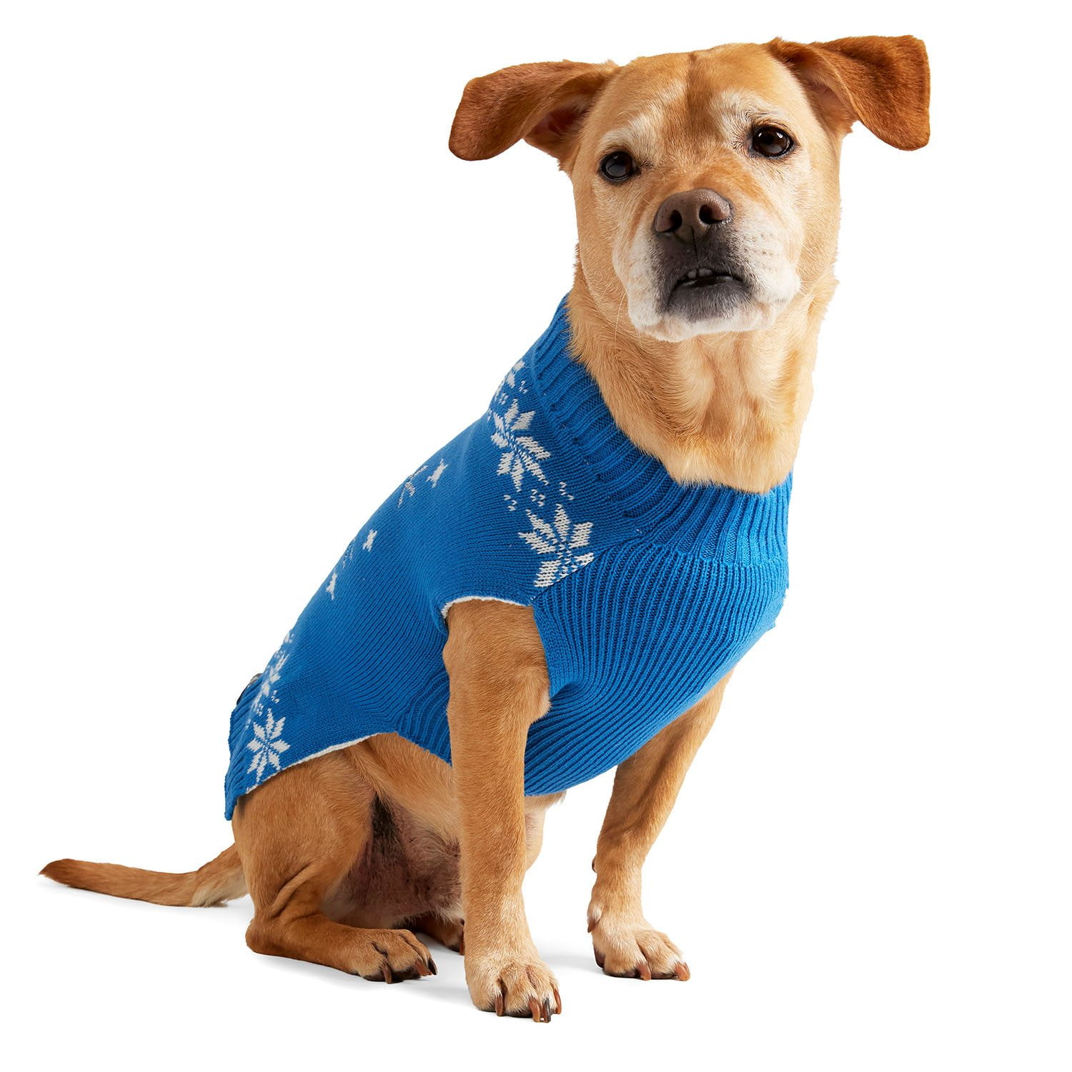 捨七 summer holiday PET 捨七 summer holiday PET LPS Holiday