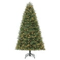 thumbnail image 2 of Member's Mark 7.5' Douglas Fir Christmas Tree, 2 of 10