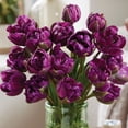 thumbnail image 5 of Member's Mark Incognito Blend Tulip and Scilla Dormant Bulbs, 35pk, 5 of 8