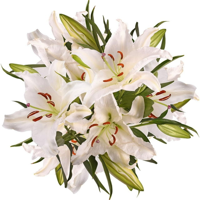 Member's Mark Oriental Trumpet Lilies, Choose color and stem count
