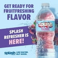 thumbnail image 3 of Splash Refresher Variety Pack 16.9 fl. oz., 32 pk., 3 of 5
