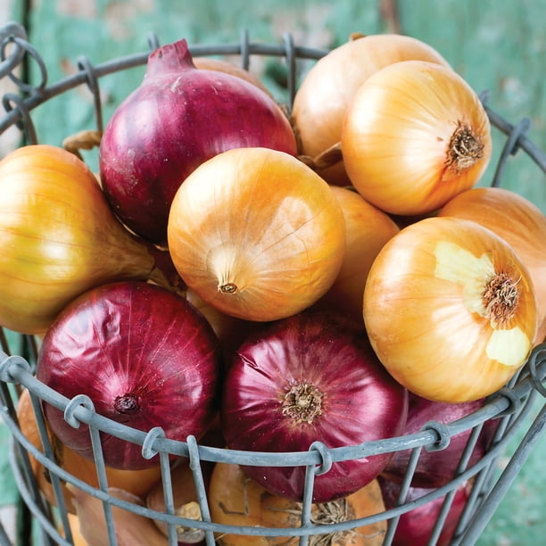 Member's Mark Garlic, Onions & Shallots, 200pk - Samsclub.com