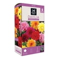 thumbnail image 1 of Member's Mark Dahlia Dinnerplate Blend Dormant Bulbs, 8pk, 1 of 9