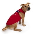 thumbnail image 2 of Free Country Americana Doggy 2-Pack Tees, 2 of 14
