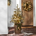 thumbnail image 1 of Member's Mark 48" Pre-Lit Flocked Topiary in Woven Basket, 1 of 5
