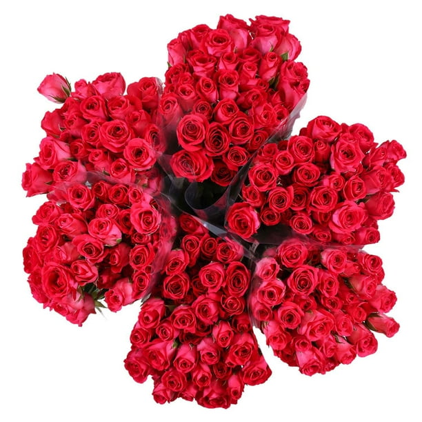 Member's Mark Spray Roses, Choose color variety and stem count -  Samsclub.com